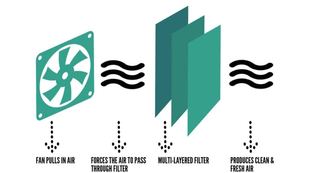 Best Air Purifiers for Mold & Allergies